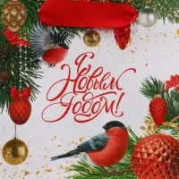 Пакет подарочный новогодний ламинированный квадратный «Яркие краски», 14 х 14 х 9 см Пакет подарочный новогодний ламинированный квадратный «Яркие краски», 14 х 14 х 9 см