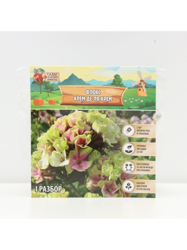 Флокс «Крем де ля Крем» корневище в пакете с торфогрунтом, р-р I, 2 шт.