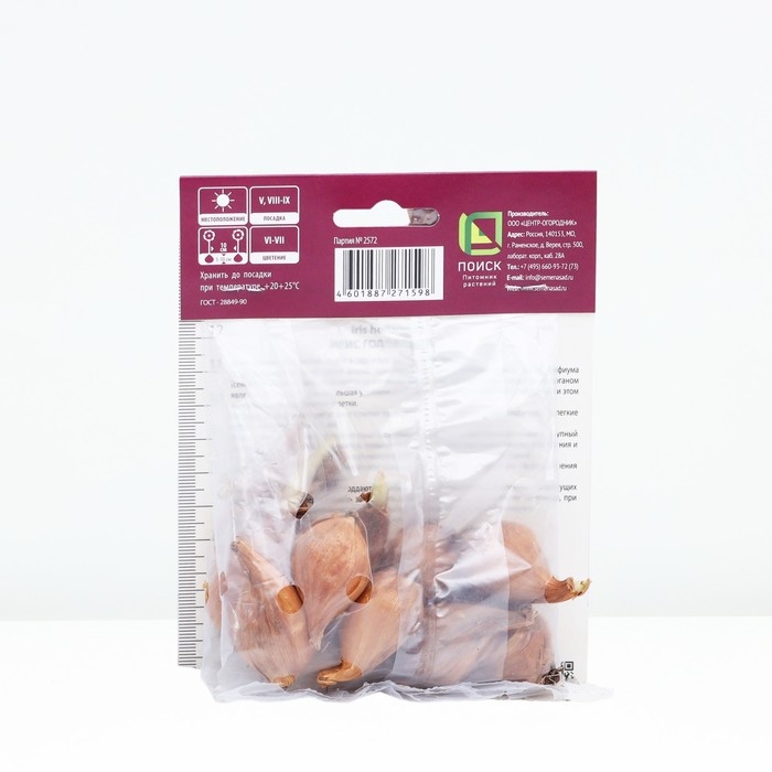 Ирис голландский Сапфир Бьюти, р-р 7/8, 10 шт, Весна 2025 Ирис голландский Сапфир Бьюти, р-р 7/8, 10 шт, Весна 2025