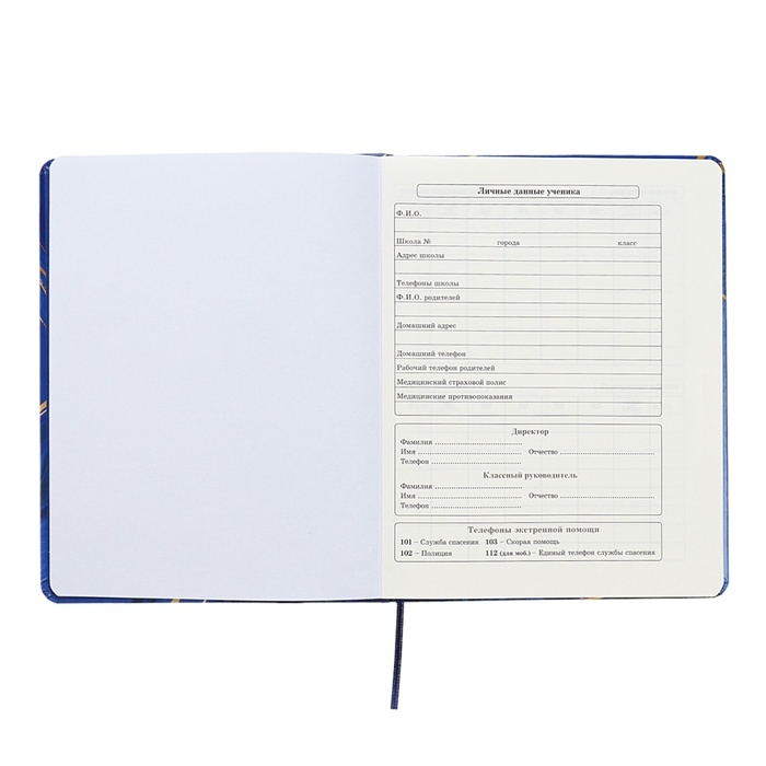 Дневник универсальный для 1-11 классов Perfect, твёрдая обложка, искусственная кожа, тиснение фольгой, тонированный блок, 48 листов