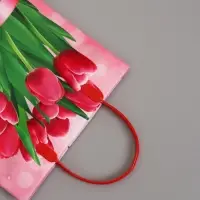 Пакет "Весеннее настроение", мягкий пластик, 26 x 23 см, 110 мкм