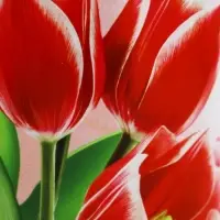 Гифтбокс с чаем, конфетами и еждневником "С 8 марта"