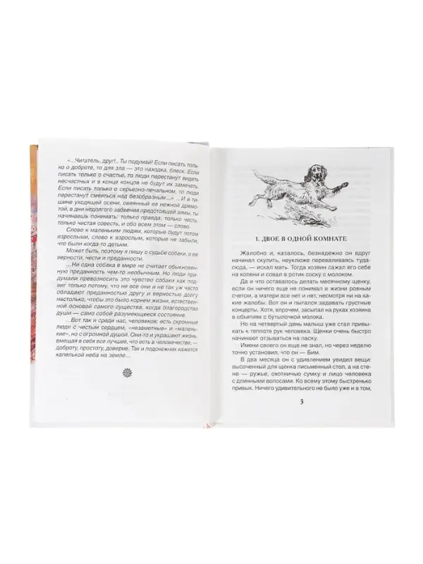 Книга детская для внеклассного чтения &laquo;Белый Бим Чёрное ухо&raquo;, Троепольский Г.Н.