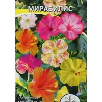 Семена цветов Мирабилис, 0.5 г, однолетник, смесь окрасок, &laquo;Агрэкс&raquo;