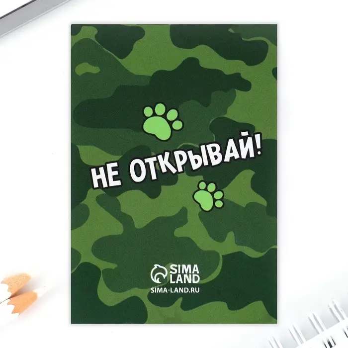 Подарочный набор: блокнот, ручка-фигурная и ластик «Настоящий герой» Подарочный набор: блокнот, ручка-фигурная и ластик «Настоящий герой»