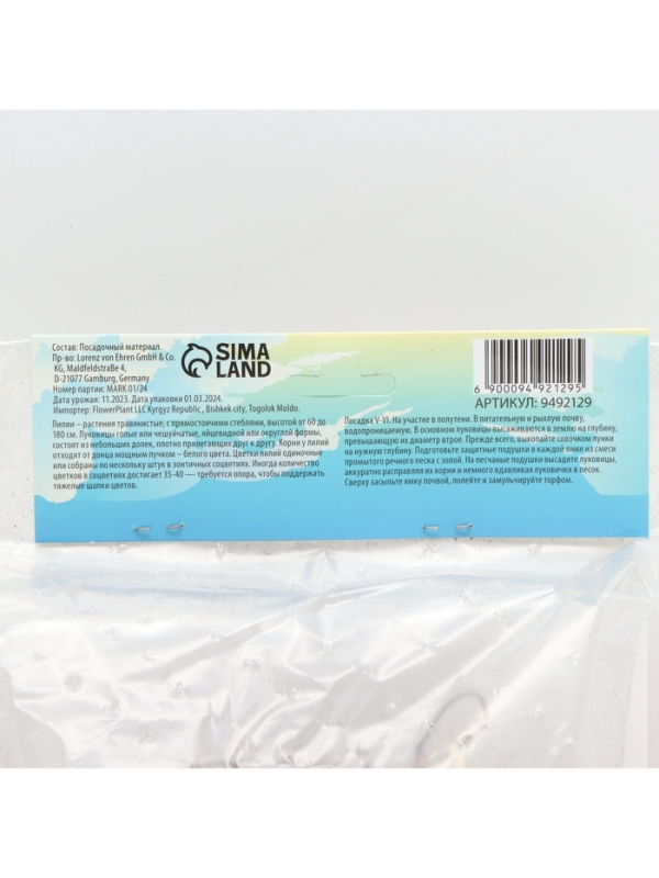 Лилия Азиатская Кашпо Foxtrot, луковица в пакете с перфорацией, р-р 12/14, 2 шт.