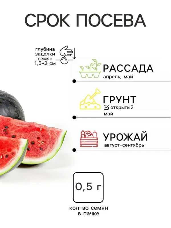 Семена Арбуз &laquo;Сахарная избушка&raquo;, 0.5 г, &laquo;Золотая Сотка Алтая&raquo;