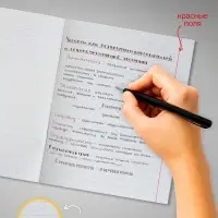 Набор тетрадей, 96 листов в линейку, Calligrata &laquo;Дикие кошки&raquo;, серые листы, 4 штуки