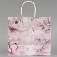 Пакет подарочный &laquo;Расцветай&raquo;, 25 х 22 х 12 см