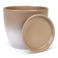 Горшок цветочный с поддоном 1,4 л, d15/h13 см капучино керамика, "Туман" (М)