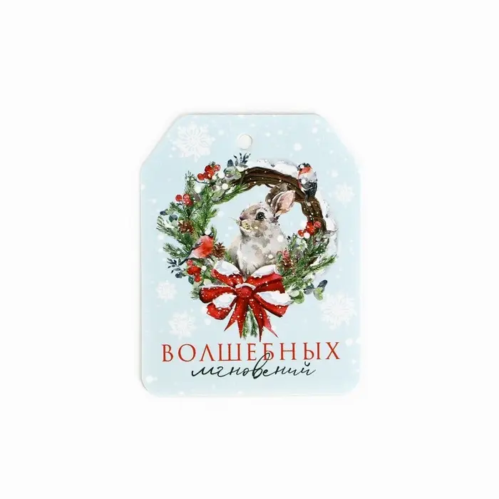 Шильдик на подарок «Верь в чудеса», набор 6 штук, 16×24 см Шильдик на подарок «Верь в чудеса», набор 6 штук, 16×24 см