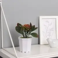 Искусственный цветок в горшке &laquo;Эхеверия&raquo;, 6.5&times;10 см, МИКС