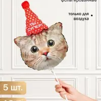 Воздушный шар фольгированный, мини-фигура 17" &laquo;Котик в колпачке&raquo;, набор 5 штук