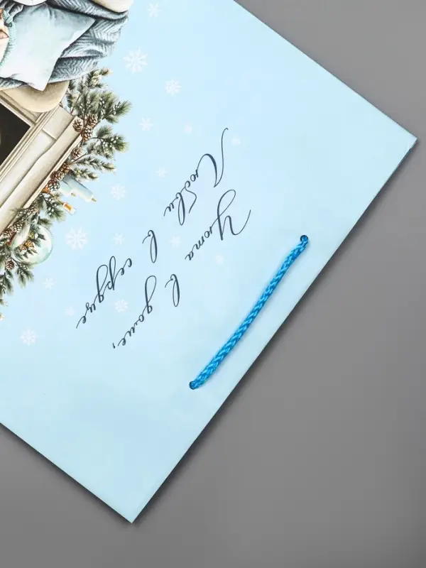 Пакет подарочный новогодний ламинированный, «Уюта в доме» , 26×12×32 см Пакет подарочный новогодний ламинированный, «Уюта в доме» , 26×12×32 см