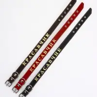 Ошейник однослойный "Красавчик", 2.5 см, тиснение фольгой, микс цветов Ошейник однослойный "Красавчик", 2.5 см, тиснение фольгой, микс цветов