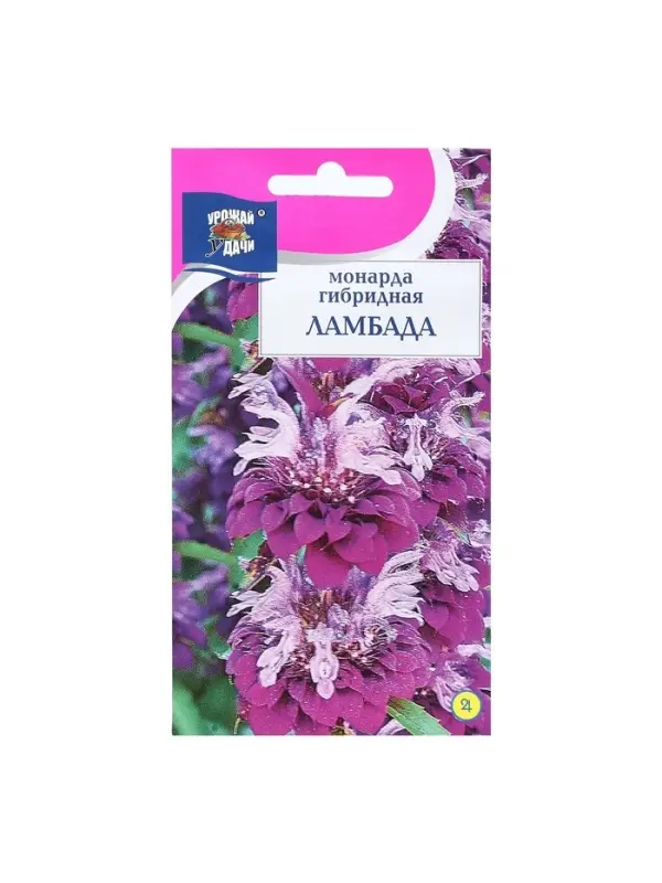 Набор семян Монарда гибридная "Ламбада", 5 шт.