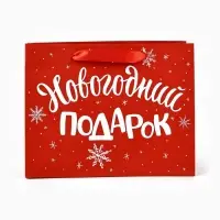 Пакет подарочный ламинированный &laquo;Новогодний подарок&raquo;, MS 23&times;18&times;10 см