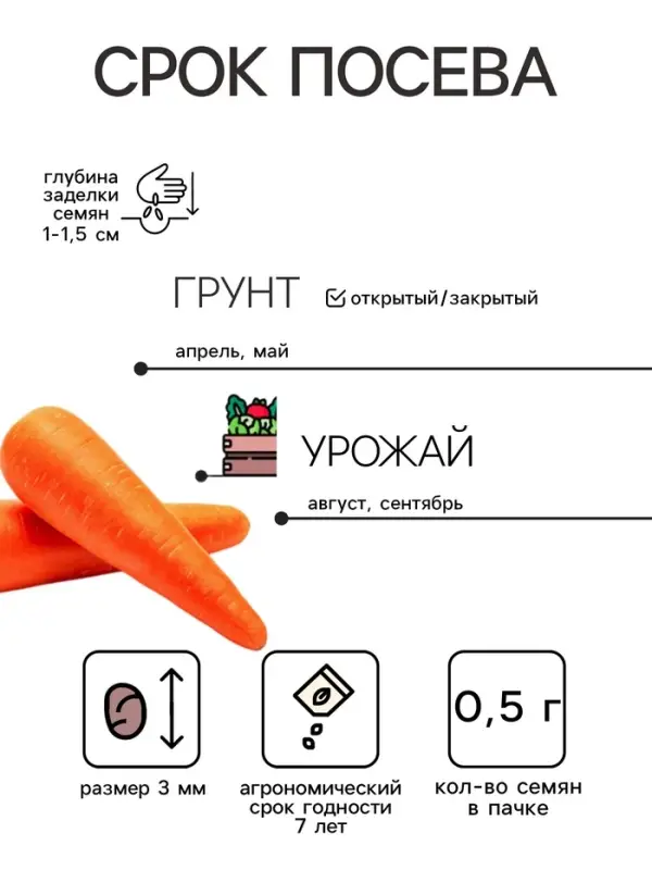 Семена Морковь &laquo;Самсон&raquo;, 0.5 г, &laquo;Аэлита&raquo;
