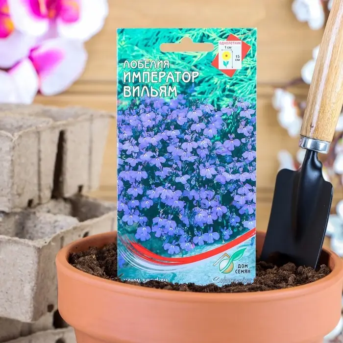 Семена цветов  Лобелия  Семена цветов  Лобелия "Император Вильям", 1000 шт
