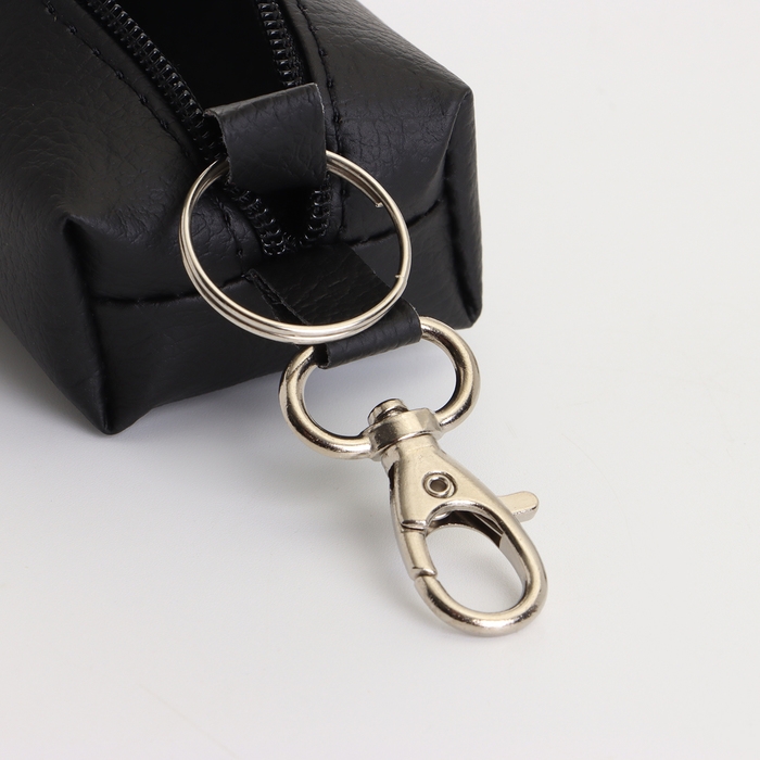 Ключница на молнии, длина 16 см, кольцо, карабин, цвет чёрный Ключница на молнии, длина 16 см, кольцо, карабин, цвет чёрный