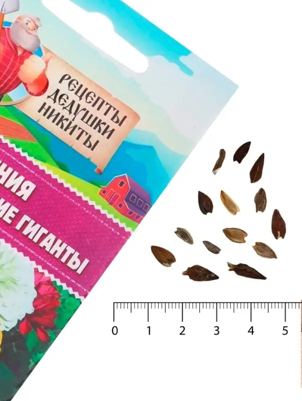 Семена цветов Цинния Семена цветов Цинния "Калифорнийские гиганты" смесь, 0,3 г