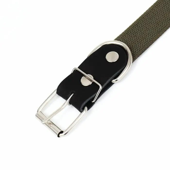 Ошейник брезентовый однослойный, безразмерный, 72&times;3.5 см, ОШ 45-60 см, хаки