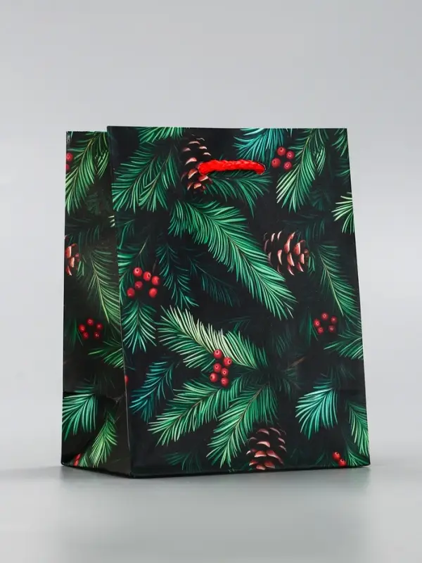 Пакет подарочный новогодний ламинированный, «Шишки» , 11.5×6.5×14.5 см