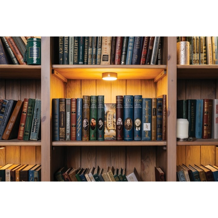 Сейф-книга  Сейф-книга "Остров сокровищ", 5,5х11,5х18 см, ключевой замок