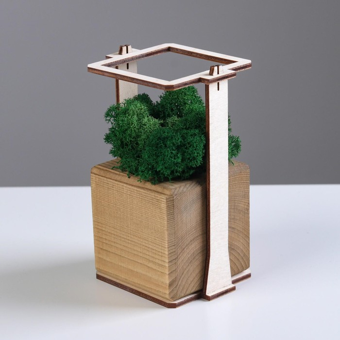 Кашпо композиция со мхом  Кашпо композиция со мхом "Бриовуд", мох стабилизированный: Forest green (Зелёный лес)