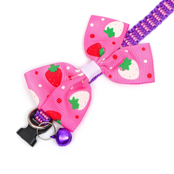 Ошейник Ошейник "Клубника", 30 х 1 см, капрон, розовый