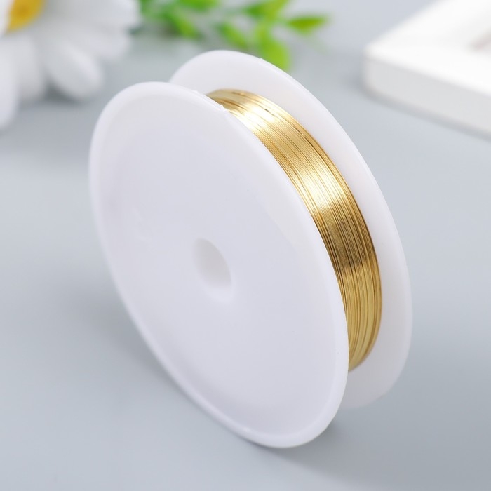 Проволока для творчества  Проволока для творчества "Astra" 0,25 мм, 10 м, золото