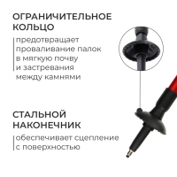 Палки для скандинавской ходьбы ONLITOP, телескопические, 3 секции, до 135 см, 2 шт., цвет МИКС