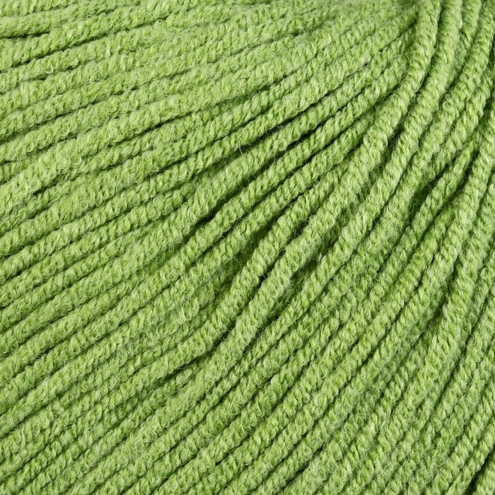 Пряжа Пряжа "Jeans" 55% хлопок, 45% акрил 160м/50гр (69 трава)