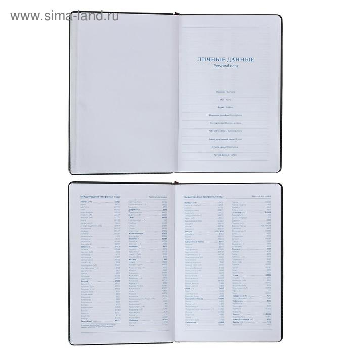 Ежедневник недатированный А5, 100 листов в клетку, с хлястиком, обложка пвх, МИКС Ежедневник недатированный А5, 100 листов в клетку, с хлястиком, обложка пвх, МИКС