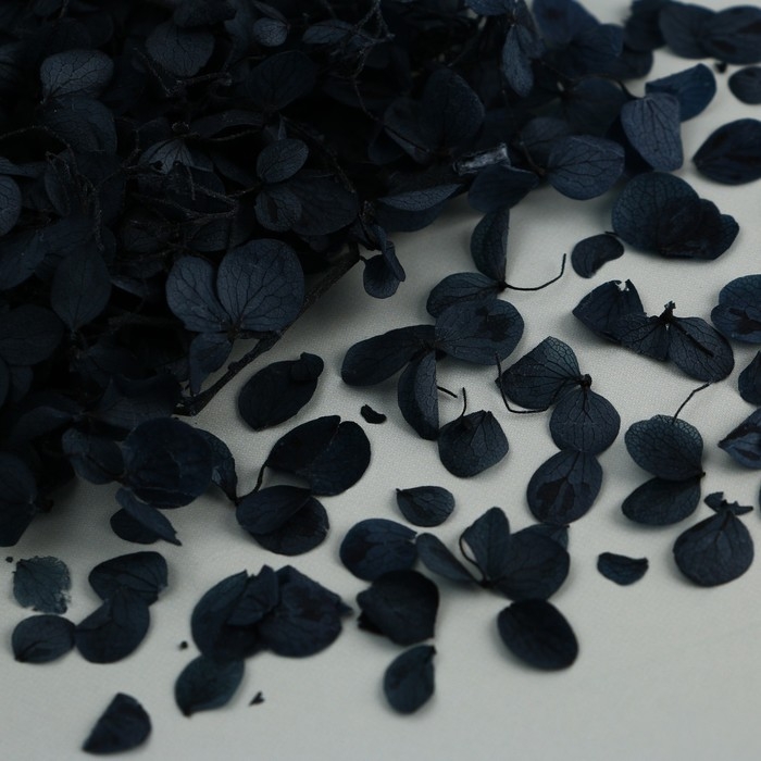 Набор для создания поддона из гипса с сухоцветами «Шестиугольник» Набор для создания поддона из гипса с сухоцветами «Шестиугольник»