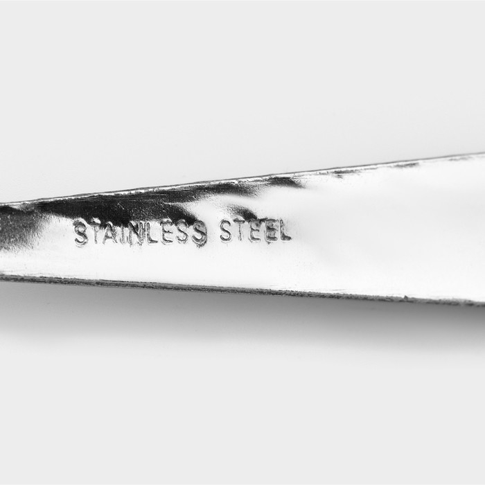 Набор столовых ложек из нержавеющей стали Доляна «Колосок», длина 20,5 см, толщина 2 мм, 6 шт, цвет серебряный Набор столовых ложек из нержавеющей стали Доляна «Колосок», длина 20,5 см, толщина 2 мм, 6 шт, цвет серебряный