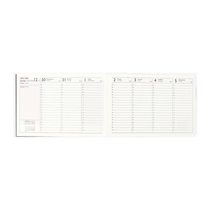 Еженедельник датированный 2025 год, ESCALADA  Еженедельник датированный 2025 год, ESCALADA "змея металлик", мягкая обложка ПВХ, 64 листа, блок 70 г/м², 180 х 127мм