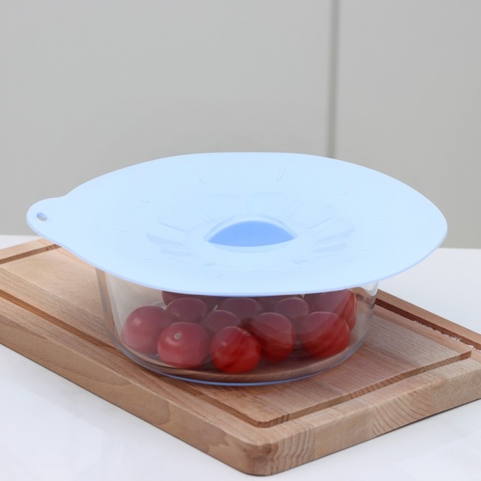 Крышка для хранения Доляна «Симпл», силикон, d=21 см, цвет голубой Крышка для хранения Доляна «Симпл», силикон, d=21 см, цвет голубой