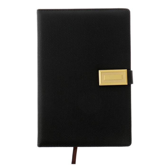 Ежедневник недатированный А5, 120 листов в клетку, с хлястиком, обложка кожзам, МИКС Ежедневник недатированный А5, 120 листов в клетку, с хлястиком, обложка кожзам, МИКС