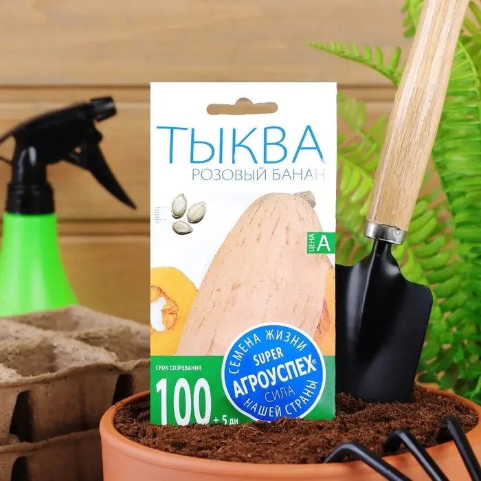 Семена Тыква  Семена Тыква "Розовый банан", 2 г