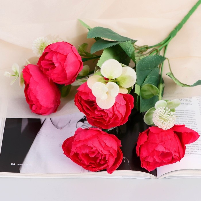 Букет Букет "Пион Бамби" 5х30 см, микс