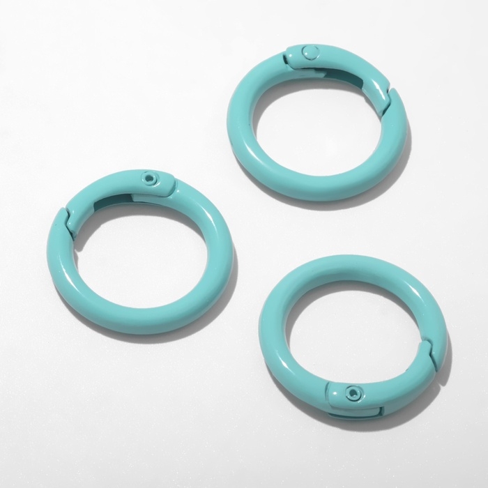 Карабин «Кольцо» d=2,5 см (набор3 шт.), цвет мятный