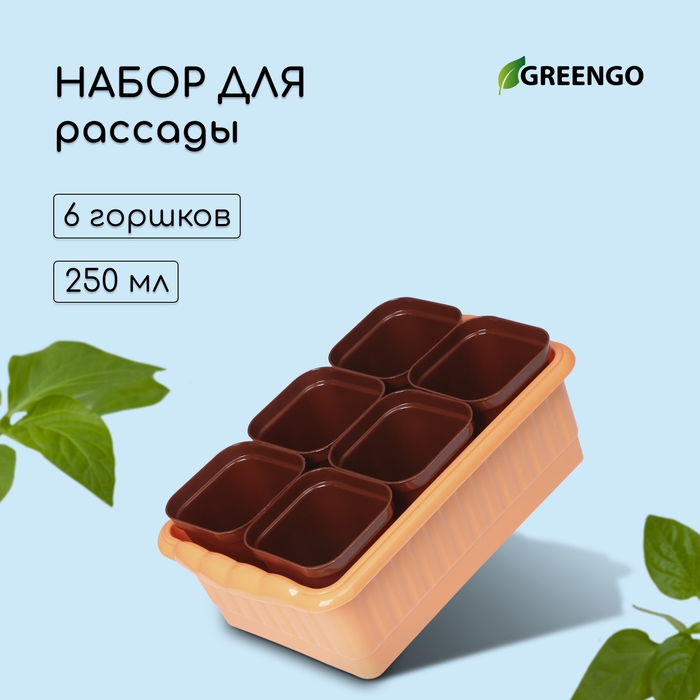 Набор для рассады: стаканы по 250 мл (6 шт.), контейнер 24 × 16 см, МИКС Набор для рассады: стаканы по 250 мл (6 шт.), контейнер 24 × 16 см, МИКС