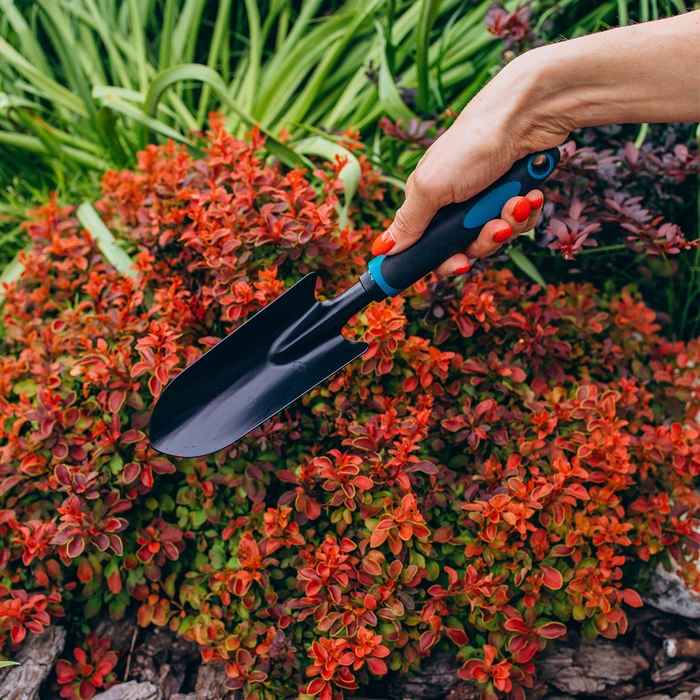 Совок посадочный Greengo, длина 31 см, ширина 6 см, эргономичная прорезиненная ручка Совок посадочный Greengo, длина 31 см, ширина 6 см, эргономичная прорезиненная ручка