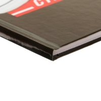 Дневник для 5-11 классов, "Кеды", твердая обложка 7БЦ, глянцевая ламинация, 48 листов Дневник для 5-11 классов, "Кеды", твердая обложка 7БЦ, глянцевая ламинация, 48 листов