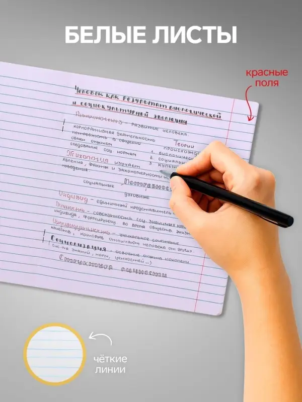 Комплект тетрадей из 10 штук, 24 листа в линию Calligrata "Street racing", обложка мелованный картон, ВД-лак, блок офсет, 5 видов по 2 штуки