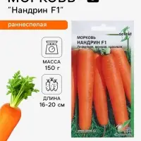 Семена Морковь &laquo;Нандрин&raquo; F1, 100 шт.