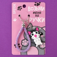 Брелок для ключей «Возьми меня на ручки», 12 х 3,5 см