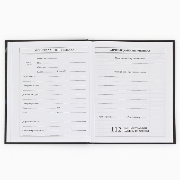 Дневник школьный 1-4 класса, в твердой обложке, 48 л &laquo;Бабочки&raquo;