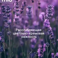 Туалетное мыло BioMio BIO-SOAP Лаванда и жасмин, 90 г